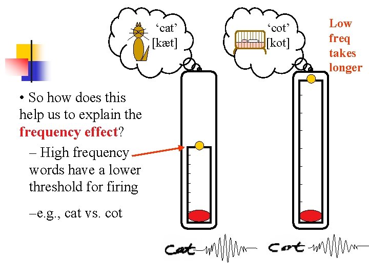 ‘cat’ [kæt] • So how does this help us to explain the frequency effect?