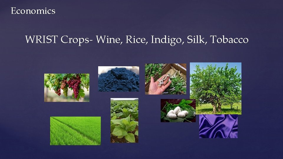 Economics WRIST Crops- Wine, Rice, Indigo, Silk, Tobacco 