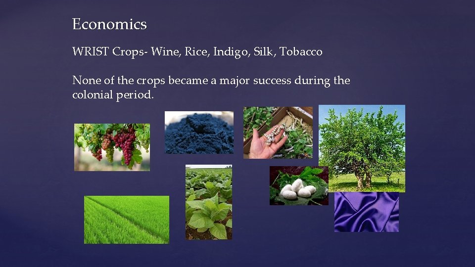 Economics WRIST Crops- Wine, Rice, Indigo, Silk, Tobacco None of the crops became a