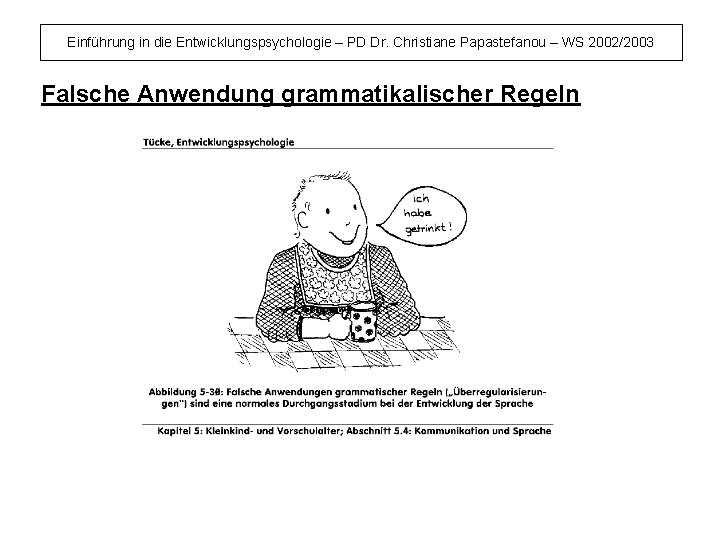 Einführung in die Entwicklungspsychologie – PD Dr. Christiane Papastefanou – WS 2002/2003 Falsche Anwendung