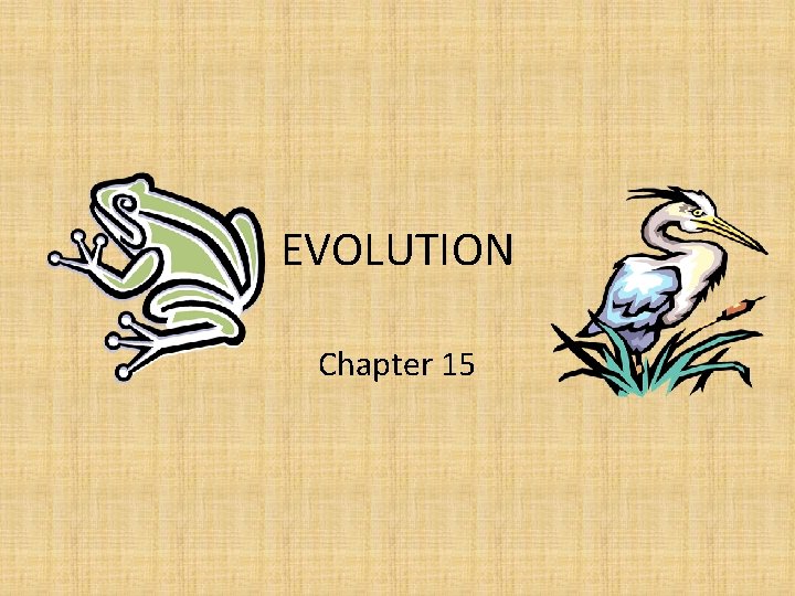 EVOLUTION Chapter 15 