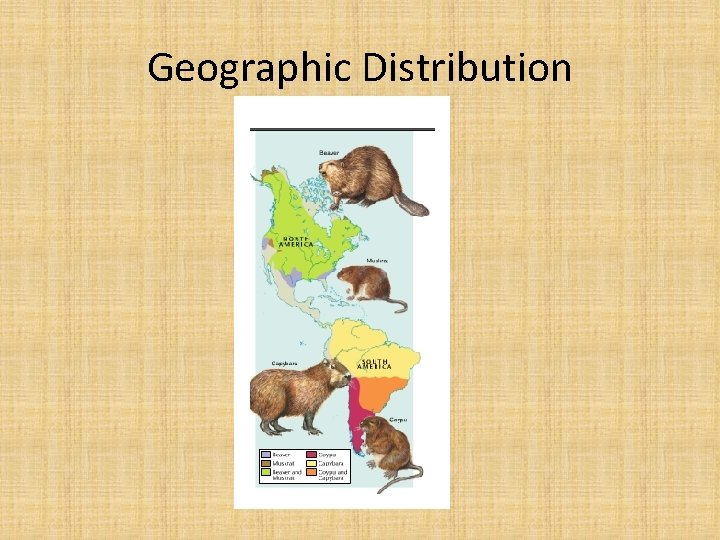 Geographic Distribution 