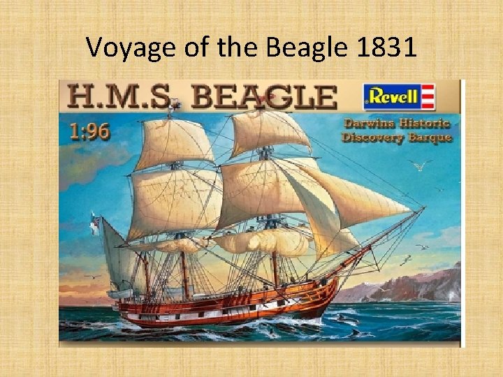 Voyage of the Beagle 1831 
