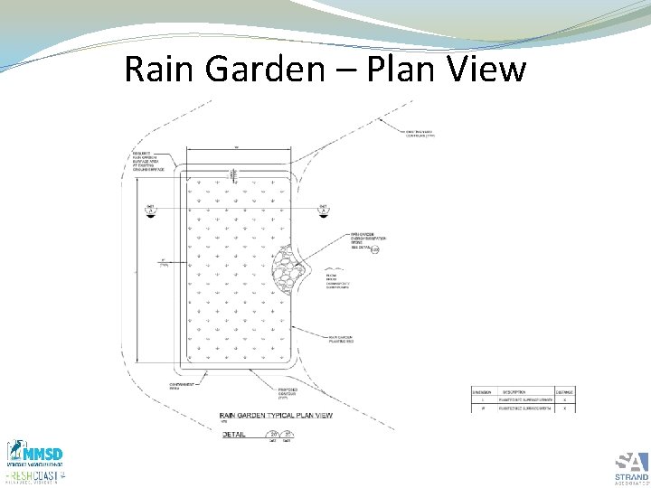 Rain Garden – Plan View 