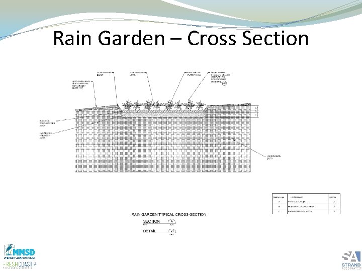 Rain Garden – Cross Section 