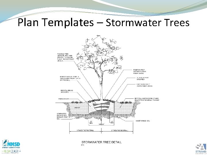 Plan Templates – Stormwater Trees 