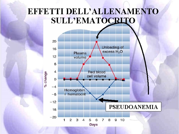 EFFETTI DELL’ALLENAMENTO SULL’EMATOCRITO PSEUDOANEMIA 