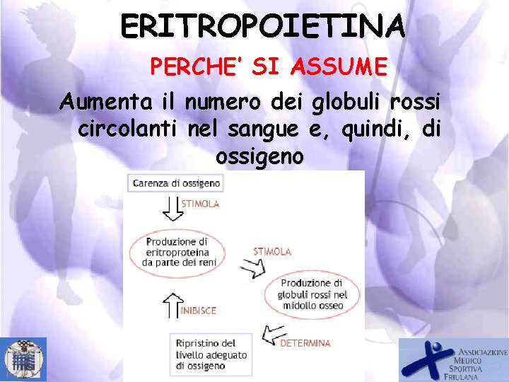 ERITROPOIETINA PERCHE’ SI ASSUME Aumenta il numero dei globuli rossi circolanti nel sangue e,