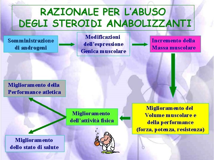 RAZIONALE PER L’ABUSO DEGLI STEROIDI ANABOLIZZANTI Somministrazione di androgeni Modificazioni dell’espressione Genica muscolare Incremento