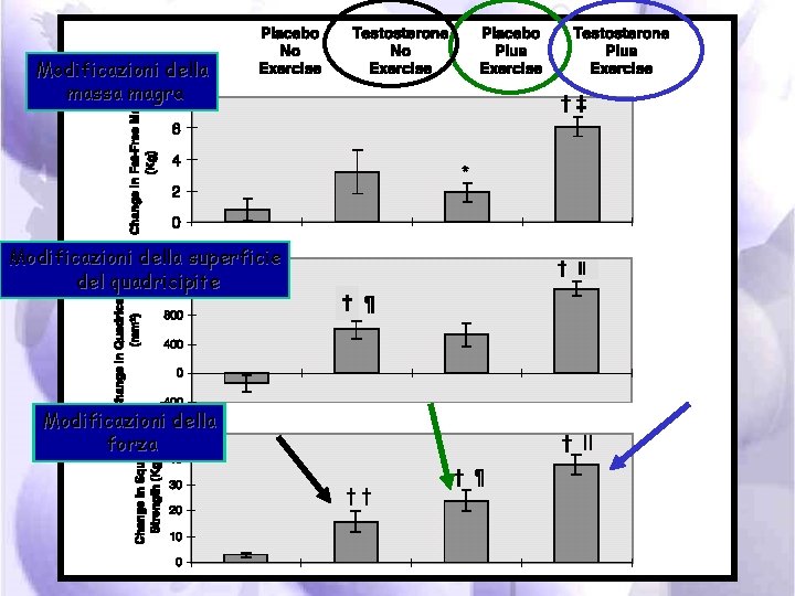 Modificazioni della massa magra Modificazioni della superficie del quadricipite Modificazioni della forza 