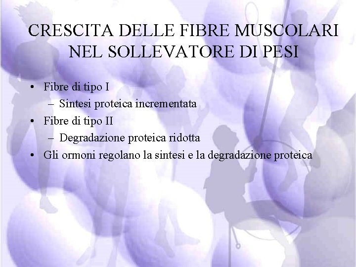 CRESCITA DELLE FIBRE MUSCOLARI NEL SOLLEVATORE DI PESI • Fibre di tipo I –