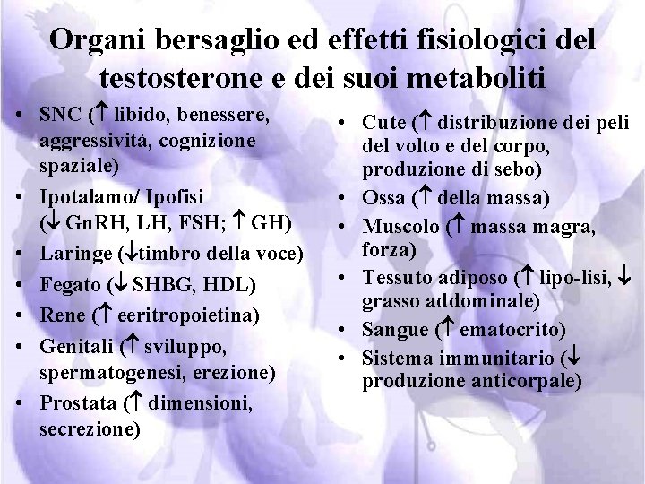 Organi bersaglio ed effetti fisiologici del testosterone e dei suoi metaboliti • SNC (