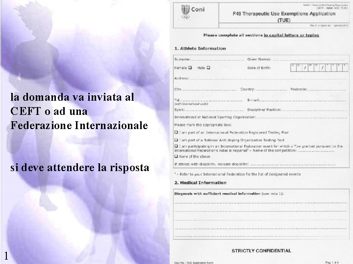 la domanda va inviata al CEFT o ad una Federazione Internazionale si deve attendere
