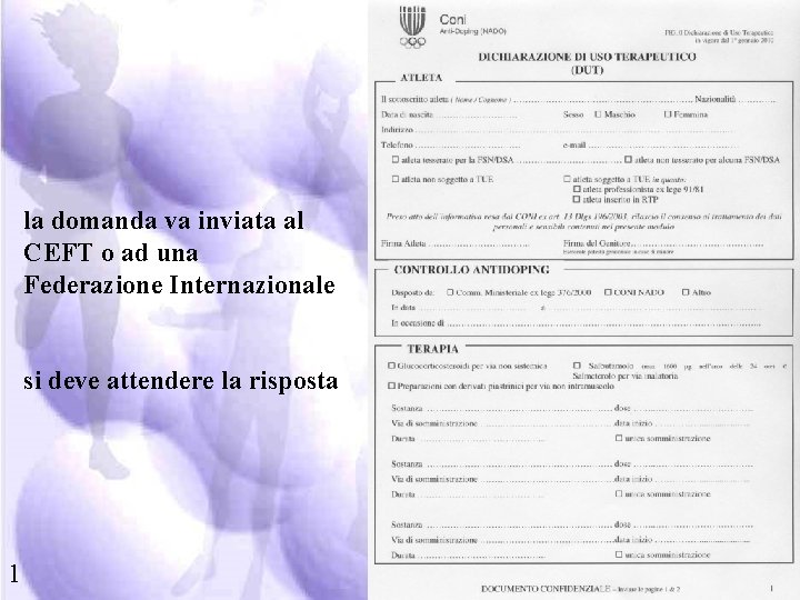 la domanda va inviata al CEFT o ad una Federazione Internazionale si deve attendere