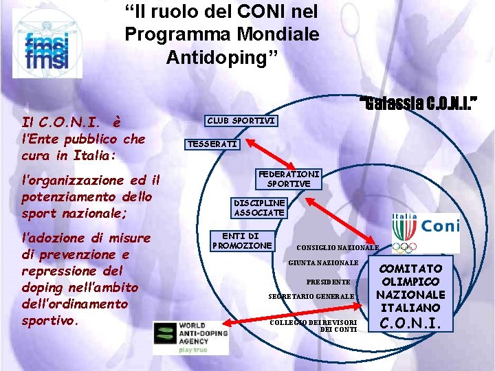 “Il ruolo del CONI nel Programma Mondiale Antidoping” Il C. O. N. I. è