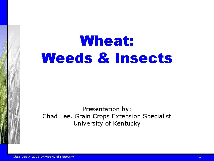 Wheat: Weeds & Insects Presentation by: Chad Lee, Grain Crops Extension Specialist University of