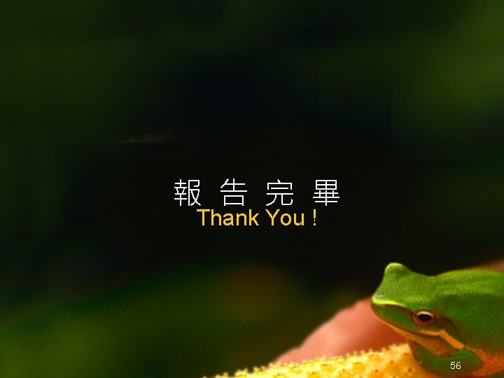 報 告 完 畢 Thank You ! 56 