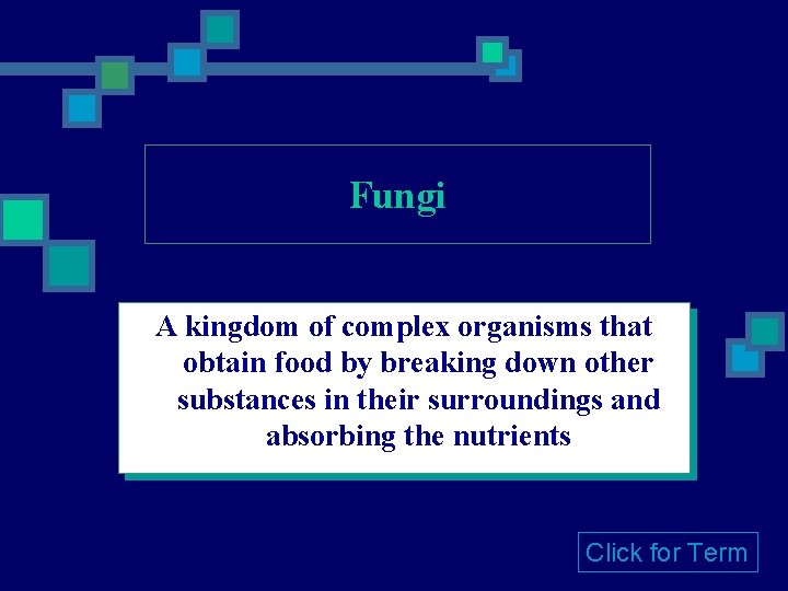 Fungi A kingdom of complex organisms that obtain food by breaking down other substances