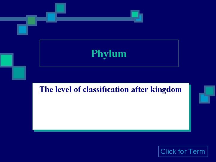 Phylum The level of classification after kingdom Click for Term 