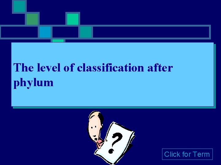The level of classification after phylum Click for Term 