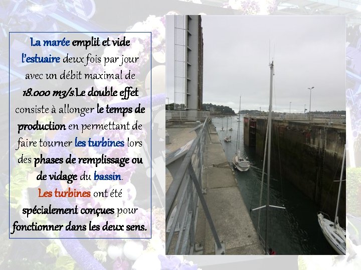 La marée emplit et vide l’estuaire deux fois par jour avec un débit maximal