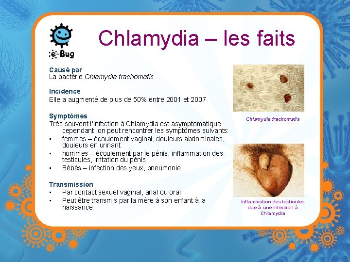 Chlamydia – les faits Causé par La bactérie Chlamydia trachomatis Incidence Elle a augmenté