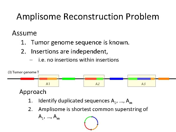 Amplisome Reconstruction Problem Assume 1. Tumor genome sequence is known. 2. Insertions are independent,