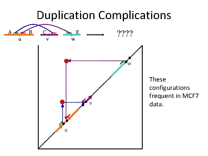 Duplication Complications A B u C ? ? E v w w v u