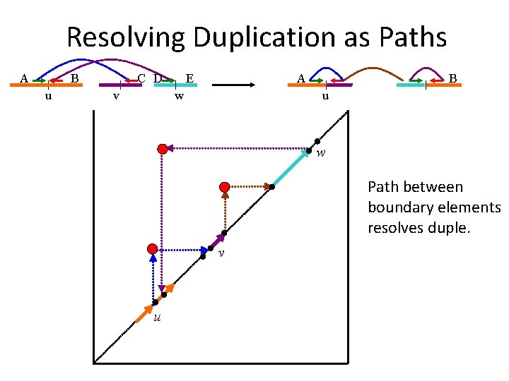 Resolving Duplication as Paths A B u C D v E A w B