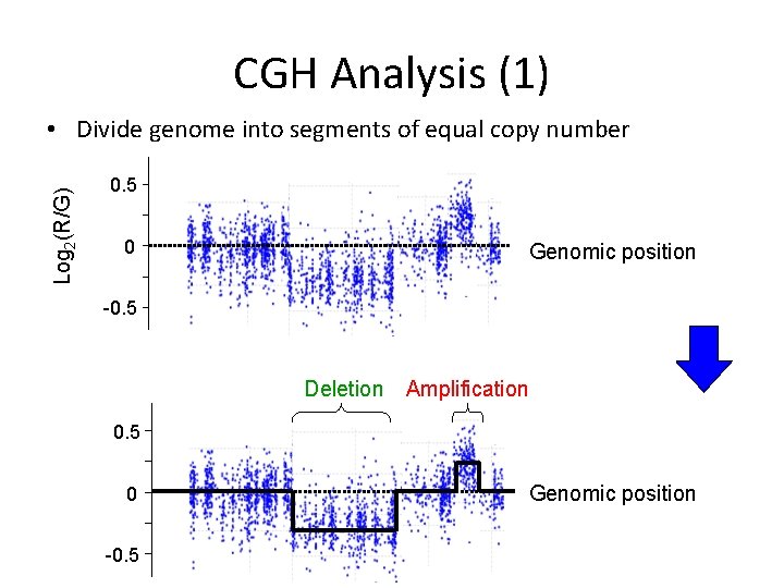 CGH Analysis (1) Log 2(R/G) • Divide genome into segments of equal copy number CGH Analysis (1) Log 2(R/G) • Divide genome into segments of equal copy number