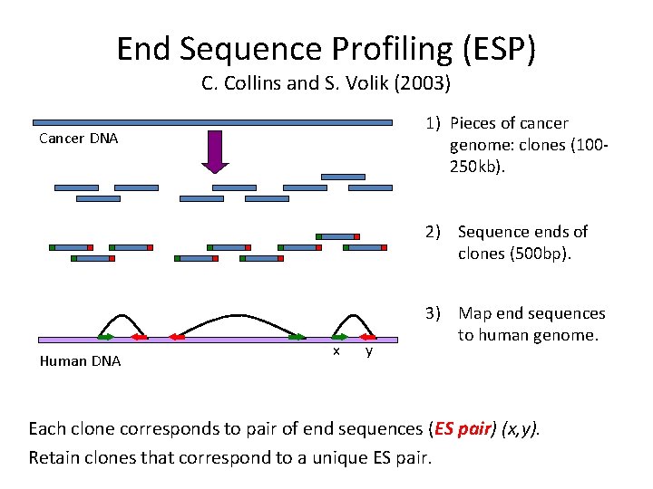 End Sequence Profiling (ESP) C. Collins and S. Volik (2003) 1) Pieces of cancer