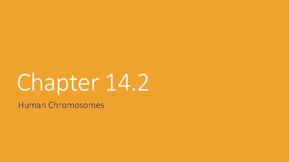 Chapter 14. 2 Human Chromosomes Chapter 14. 2 Human Chromosomes