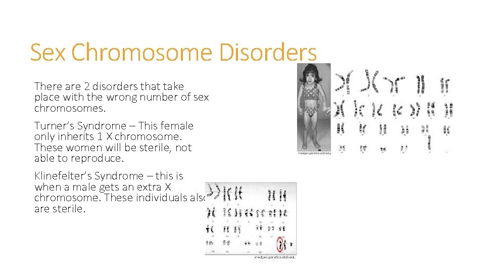 Sex Chromosome Disorders There are 2 disorders that take place with the wrong number Sex Chromosome Disorders There are 2 disorders that take place with the wrong number