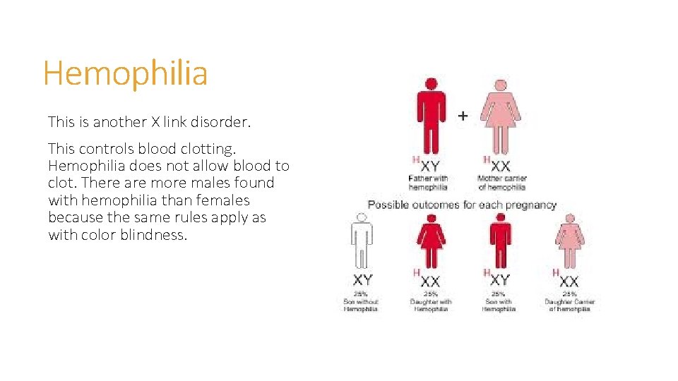 Hemophilia This is another X link disorder. This controls blood clotting. Hemophilia does not Hemophilia This is another X link disorder. This controls blood clotting. Hemophilia does not