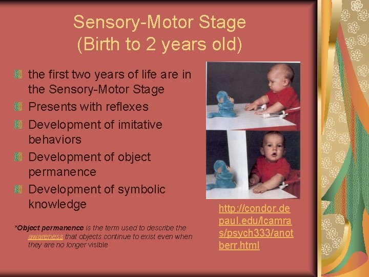 Sensory-Motor Stage (Birth to 2 years old) the first two years of life are