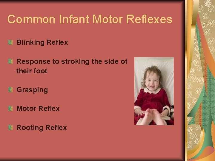 Common Infant Motor Reflexes Blinking Reflex Response to stroking the side of their foot