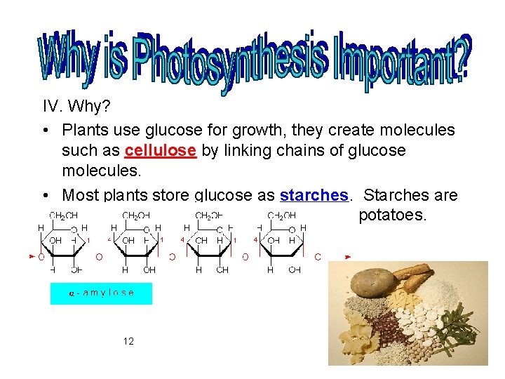 IV. Why? • Plants use glucose for growth, they create molecules such as cellulose