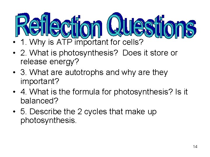  • 1. Why is ATP important for cells? • 2. What is photosynthesis?