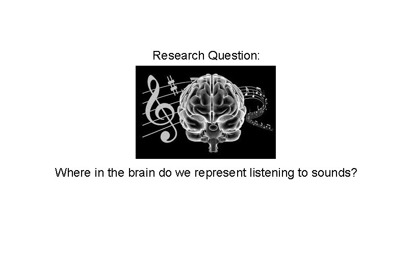 Research Question: Where in the brain do we represent listening to sounds? 