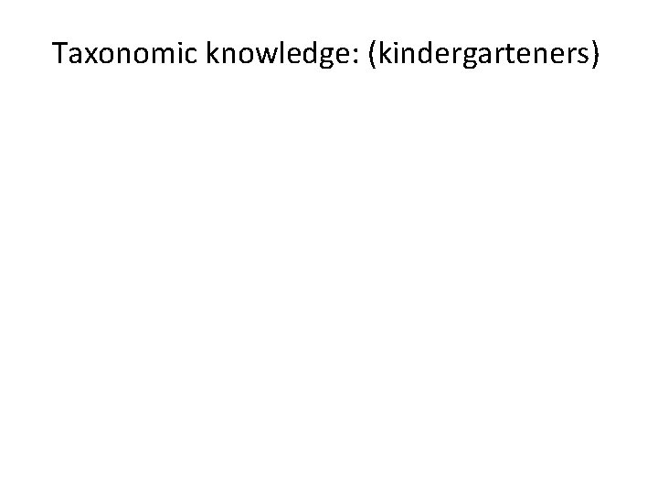 Taxonomic knowledge: (kindergarteners) 