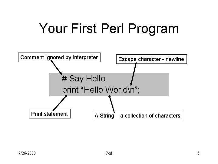 Your First Perl Program Comment Ignored by Interpreter Escape character - newline # Say
