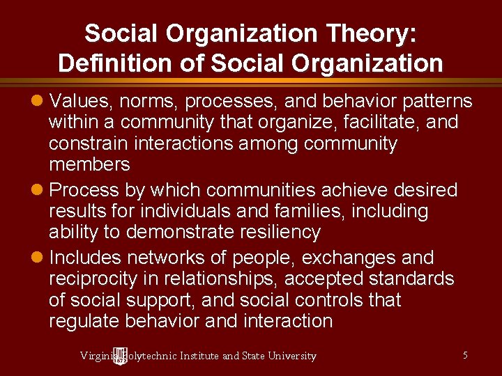 Social Organization Theory: Definition of Social Organization Values, norms, processes, and behavior patterns within