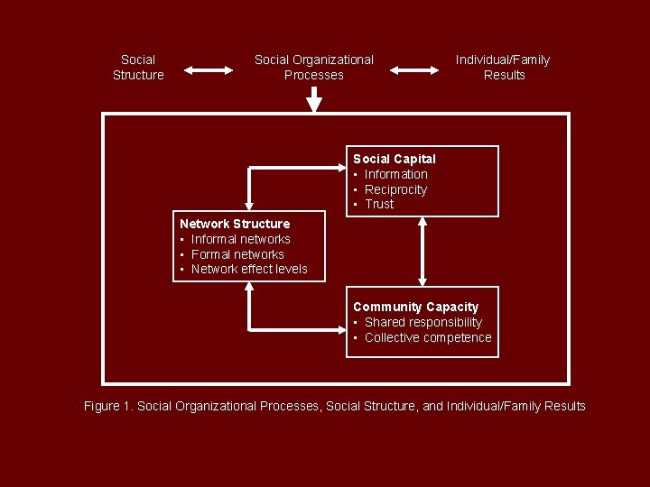 Social Structure Social Organizational Processes Individual/Family Results Social Capital • Information • Reciprocity •