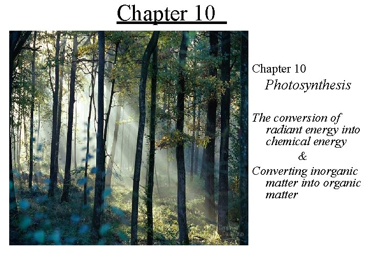 Chapter 10 Photosynthesis The conversion of radiant energy into chemical energy & Converting inorganic Chapter 10 Photosynthesis The conversion of radiant energy into chemical energy & Converting inorganic