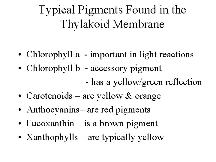 Typical Pigments Found in the Thylakoid Membrane • Chlorophyll a - important in light Typical Pigments Found in the Thylakoid Membrane • Chlorophyll a - important in light