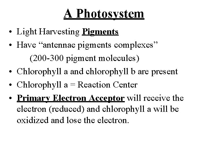 A Photosystem • Light Harvesting Pigments • Have “antennae pigments complexes” (200 -300 pigment A Photosystem • Light Harvesting Pigments • Have “antennae pigments complexes” (200 -300 pigment