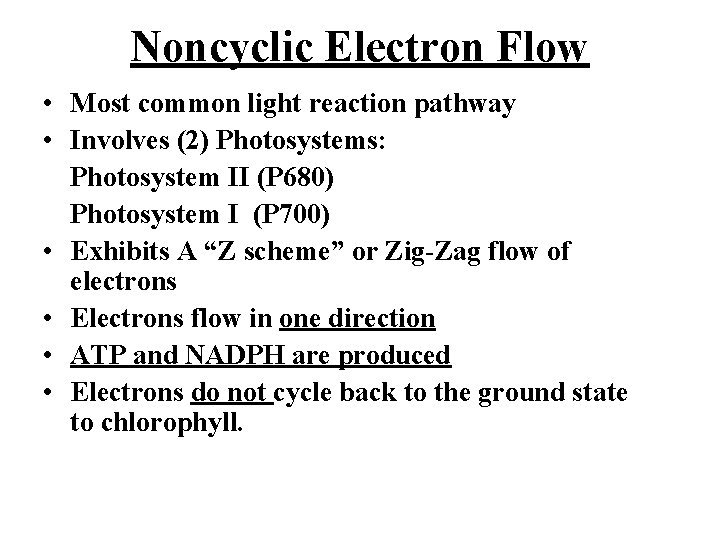 Noncyclic Electron Flow • Most common light reaction pathway • Involves (2) Photosystems: Photosystem Noncyclic Electron Flow • Most common light reaction pathway • Involves (2) Photosystems: Photosystem