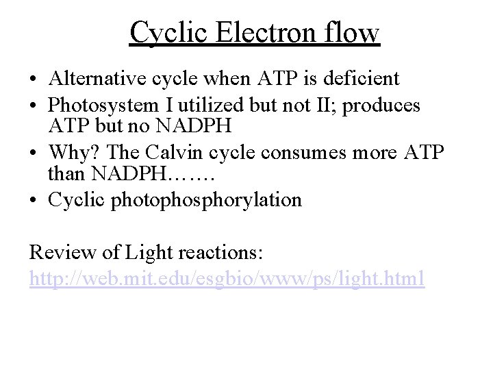 Cyclic Electron flow • Alternative cycle when ATP is deficient • Photosystem I utilized Cyclic Electron flow • Alternative cycle when ATP is deficient • Photosystem I utilized