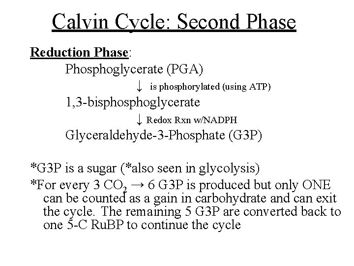 Calvin Cycle: Second Phase Reduction Phase: Phosphoglycerate (PGA) ↓ is phosphorylated (using ATP) 1, Calvin Cycle: Second Phase Reduction Phase: Phosphoglycerate (PGA) ↓ is phosphorylated (using ATP) 1,