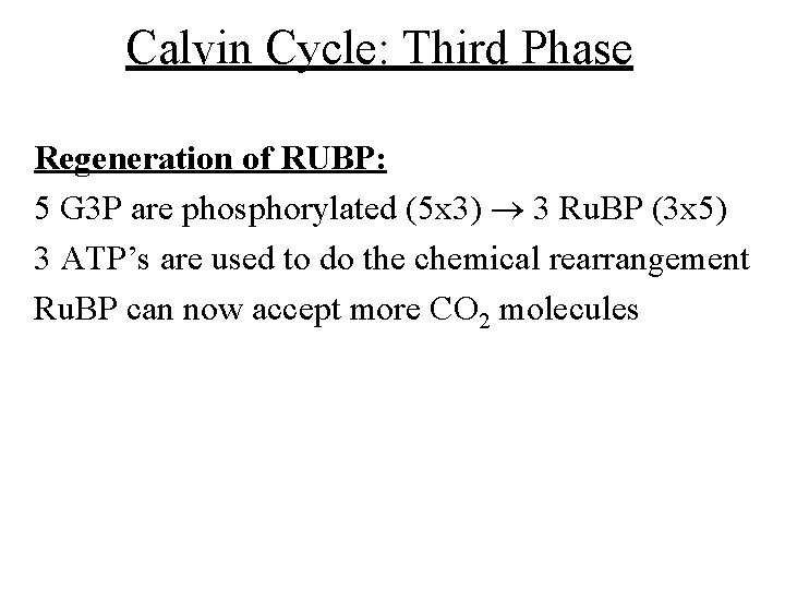 Calvin Cycle: Third Phase Regeneration of RUBP: 5 G 3 P are phosphorylated (5 Calvin Cycle: Third Phase Regeneration of RUBP: 5 G 3 P are phosphorylated (5